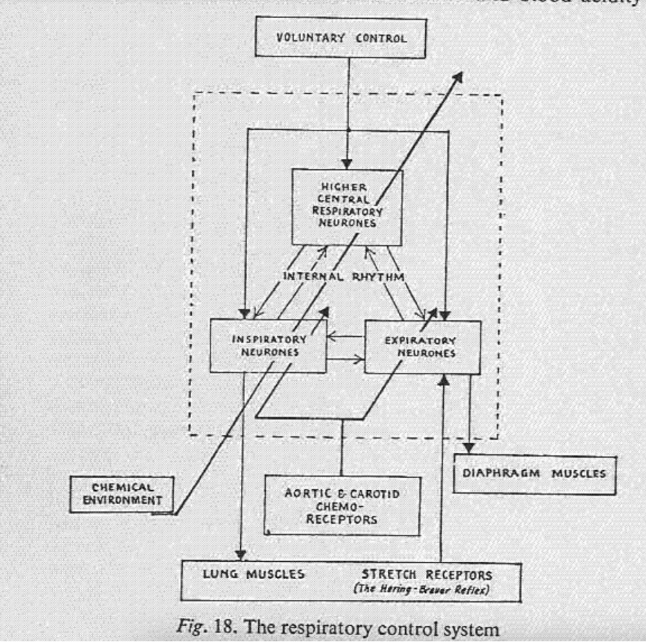 Fig 18